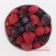 Fruta Congelada Gergal Mix de Berries - 1Kg